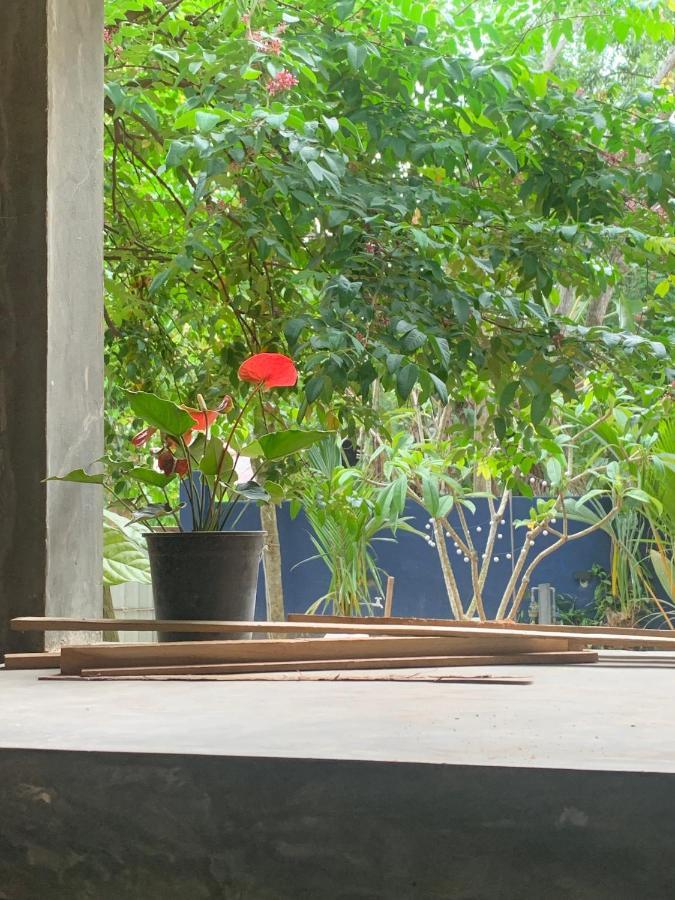 Pranaya Hiriketiya Hostel ดิคเวลลา ภายนอก รูปภาพ