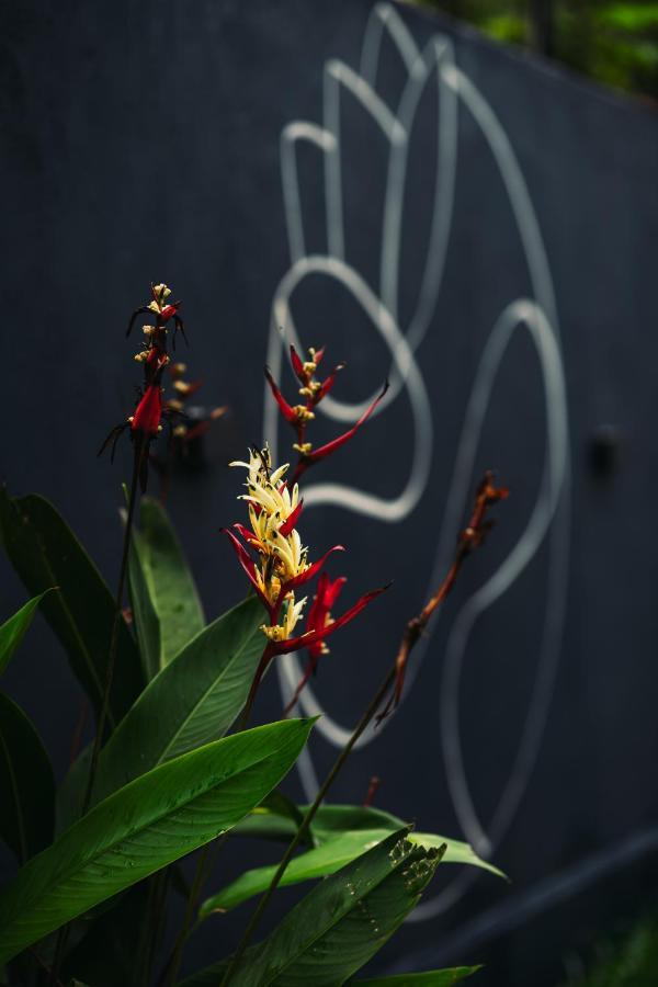 Pranaya Hiriketiya Hostel ดิคเวลลา ภายนอก รูปภาพ