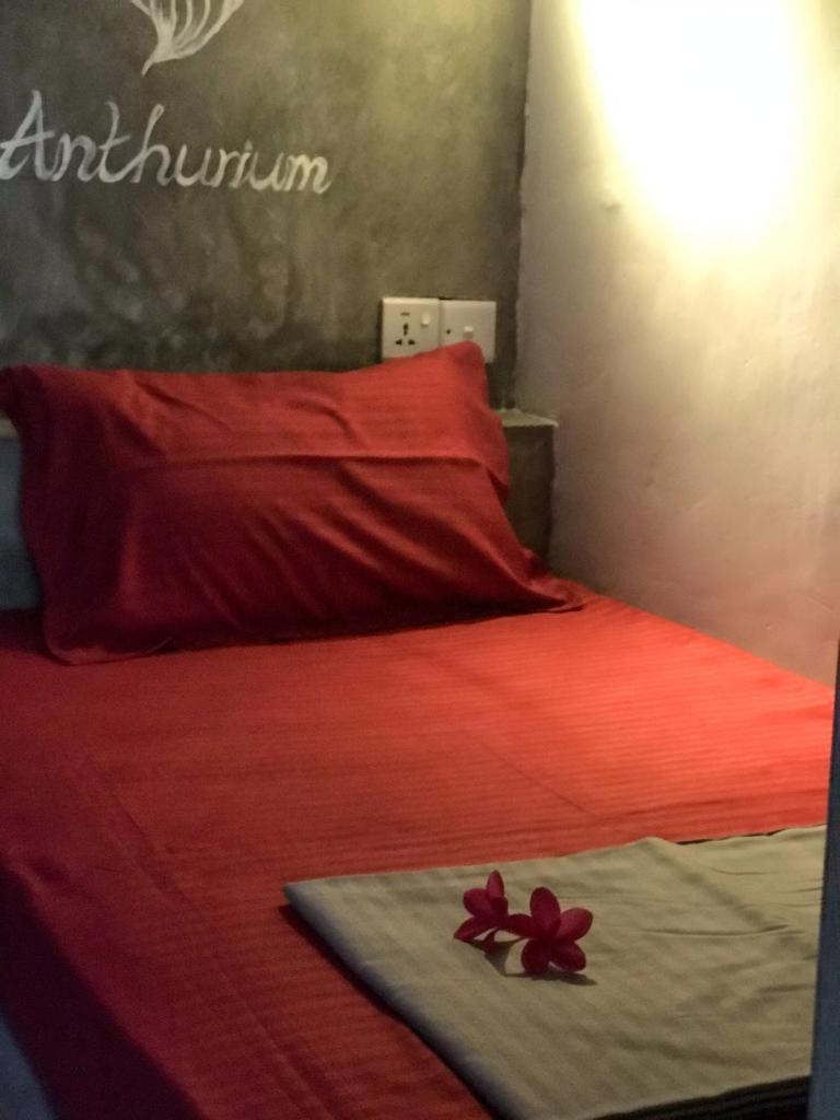 Pranaya Hiriketiya Hostel ดิคเวลลา ภายนอก รูปภาพ